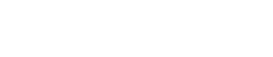 I.L.N.S. פרויקטים
